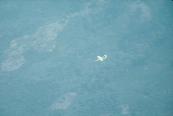 Flying an OV-10 over the strike area
