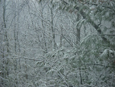 March in Minnesota