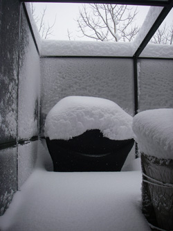 Our BBQ Grill in the Screen Porch