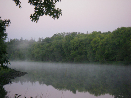 foggymorning