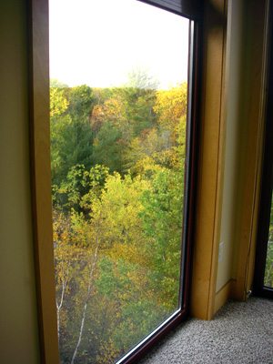 My window on the world
