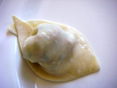 Wonton